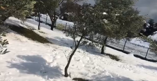 Karlı Bir Havada Canlı Yayın
