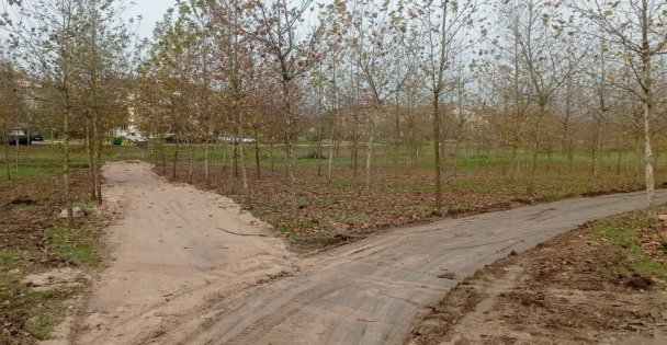 Kartepe Hasanpaşa'ya Yeni Mesire Alanı