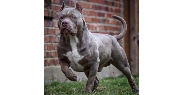 KARTEPE ZABITASI'NDAN ÖNEMLİ BİLGİLENDİRME