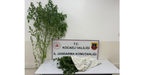 Kartepe'de uyuşturucu operasyonu: 3 kilo 750 gram esrar ele geçirildi