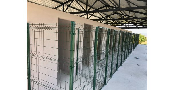 KARTEPE'NİN SOKAK HAYVANLARI RAHATA KAVUŞUYOR