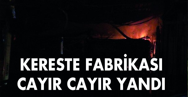 Kereste deposu alev alev yandı!