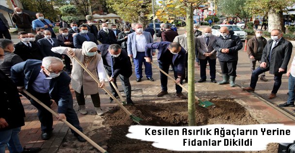 Kesilen Asırlık Ağaçların Yerine Fidanlar Dikildi
