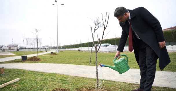 KİRAZ VE VİŞNE YILI