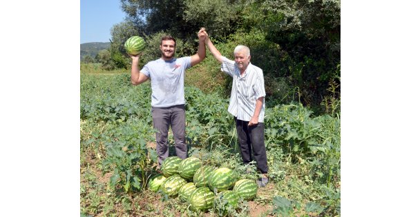 Kırkpınar güreşlerine  tarlada hazırlanıyor