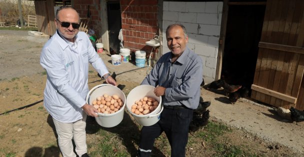 Kırsal Kalkınmaya Tavuk Desteği