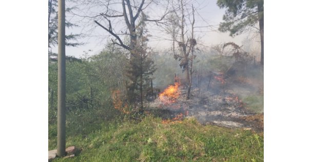 Kızılkaya'dan Sonra Dikyol Ormanları Yok Olmasın