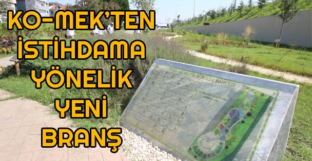 KO-MEK'ten İstihdama Yönelik Yeni Branş