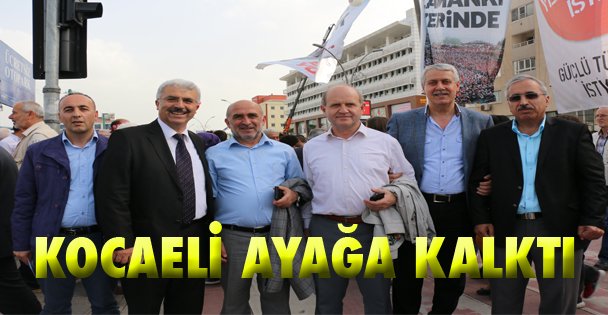 Kocaeli ayağa kalktı