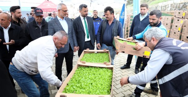 Kocaeli Büyükşehir'le tarlalar bereketleniyor; Gebzeli çiftçiye 500 bin sebze fidesi