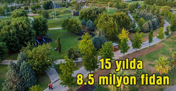 Kocaeli'de 15 yılda 8,5 milyon fidan dikildi