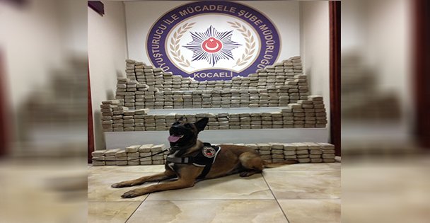 Kocaeli'de 2016'da 2 ton uyuşturucu ele geçirildi