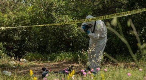 Kocaeli'de ağaçlık alanda erkek cesedi bulundu