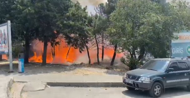Kocaelide ağaçlık alanda yangın çıktı, 4 kişi dumandan etkilendi