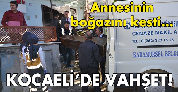 Kocaeli'de anne cinayeti!
