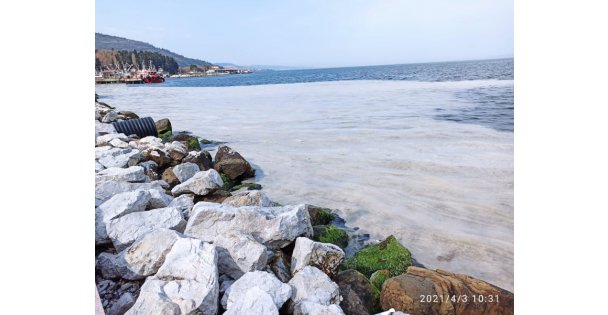 Balıkçılar 'deniz salyası' nedeniyle sezonu kapattı