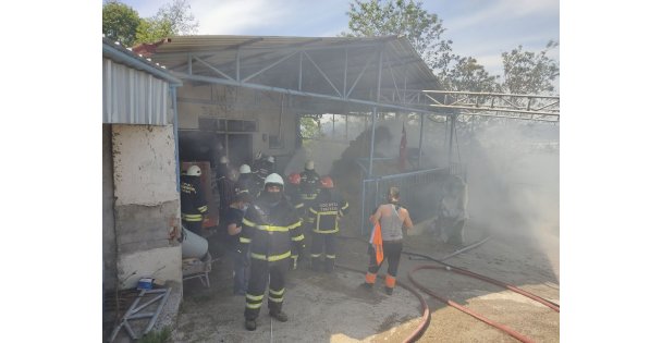 Kocaeli'de büyükbaş besi çiftliğinde çıkan yangın söndürüldü