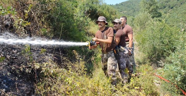 Kocaeli'de Çıkan Orman Yangınında 20 Dönüm Alan Zarar Gördü