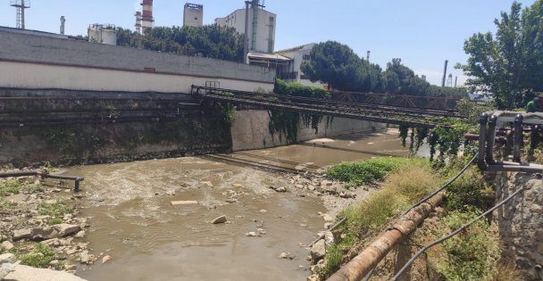 Kocaeli'de dereye atık su döküldüğü iddiası