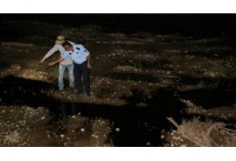 Kocaeli'de dereye dökülen atık kötü kokuya yol açtı