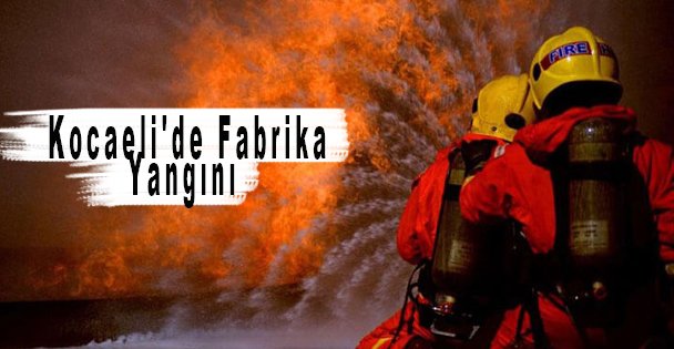 Kocaeli'de Fabrika Yangını