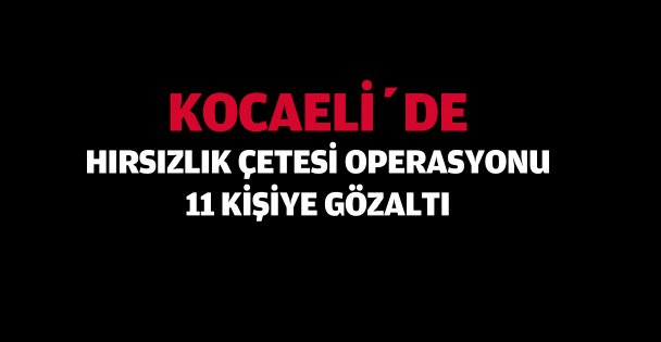 Kocaeli'de  hırsızlık çetesi operasyonu: 11 gözaltı
