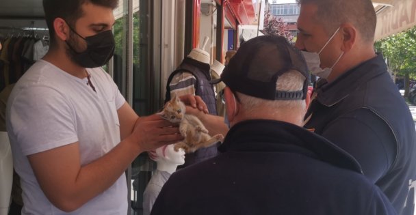 Kocaeli'de iş yerinin tabelasında mahsur kalan kedi yavrusunu itfaiye kurtardı
