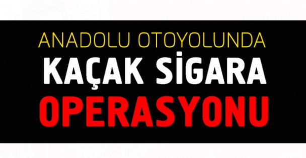 Kocaeli'de kaçak sigara operasyonu