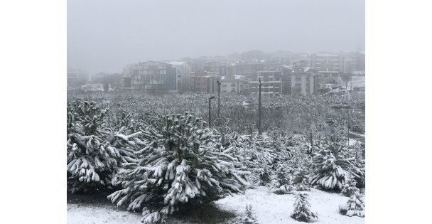 Kocaeli'de kar etkili oldu