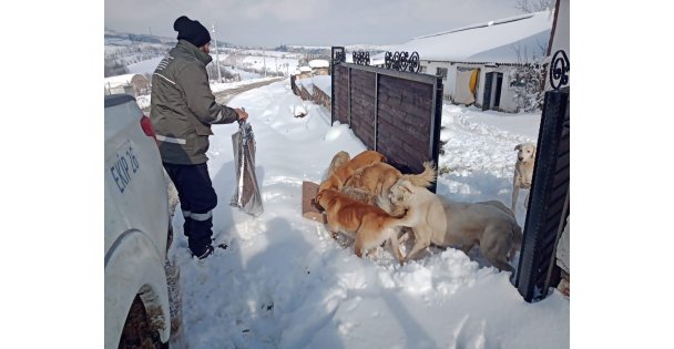 Kocaeli'de Kar Etkisini Sürdürüyor
