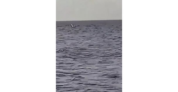 Kocaeli'de kayık alabora oldu: 1 kişi kurtarıldı, 1 kişi aranıyor