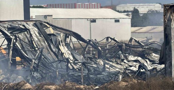Kocaeli'de kimya fabrikasında yangın: 2 işçi yaralandı, 2 at telef oldu