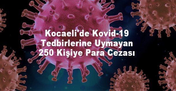 Kocaeli'de Kovid-19 Tedbirlerine Uymayan 250 Kişiye Para Cezası