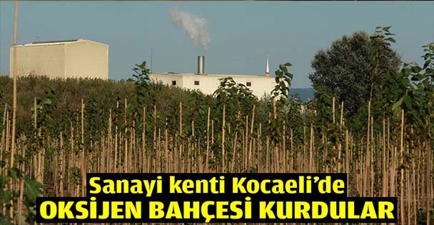Kocaeli'de oksijen bahçesi kurdular