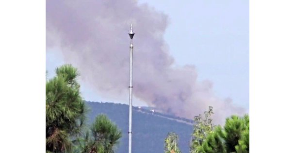 Kocaelide ormanlık alanda yangın çıktı