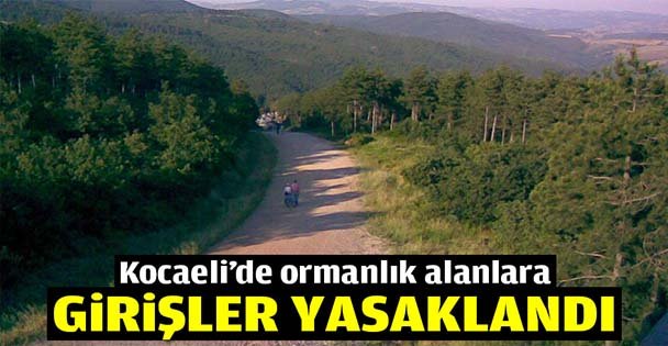 Kocaeli'de ormanlık alanlara girişler yasaklandı