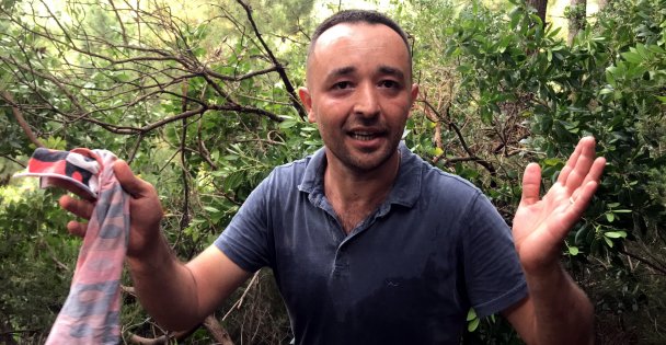 Kocaeli'de sahibinin elinden kaçarak uçuruma yuvarlanan büyükbaş hayvan düştüğü alanda kesildi