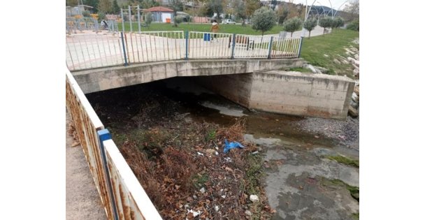 Kocaeli'de sahilde erkek cesedi bulundu