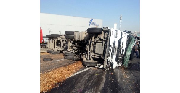 Kocaeli'de talaş yüklü tır devrildi: 1 yaralı