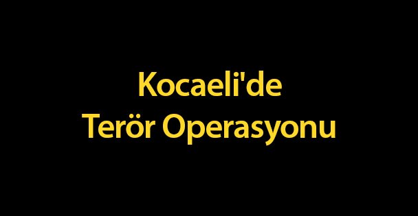 Kocaeli'de Terör Operasyonu