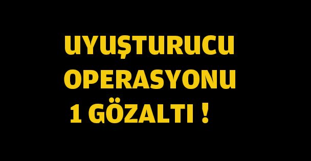 Kocaeli'de uyuşturucu operasyonu