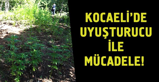 Kocaeli'de uyuşturucuyla mücadele