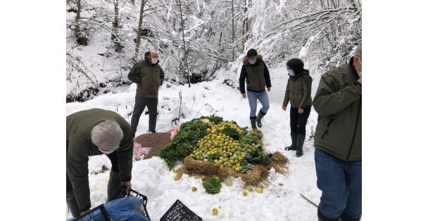 Kocaeli'de Yaban Hayvanları İçin Doğaya Yem Bırakıldı