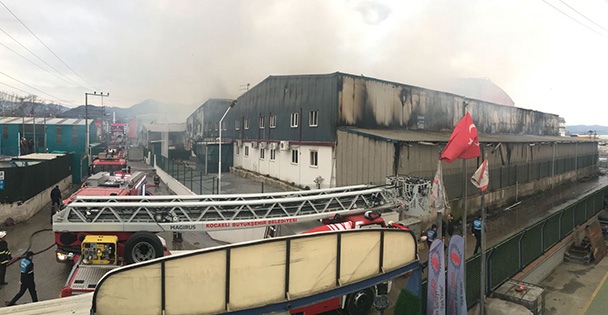 Kocaeli'de yangın
