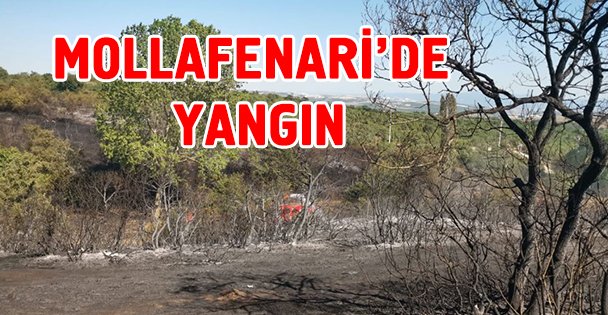 Mollafenari'de yangın