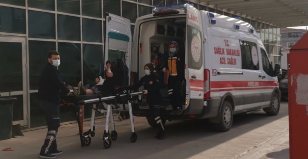 Kocaeli'de yılanın ısırması sonucu yaralanan kadın hastaneye kaldırıldı