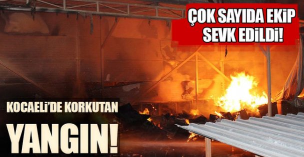 Kocaeli'deki Fabrika Yangını