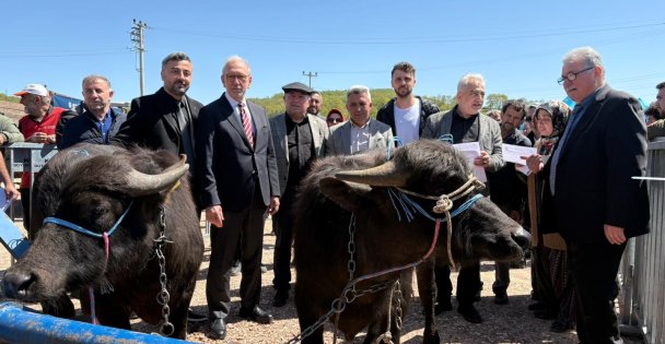 Kocaelideki manda yetiştiricilerine 3,4 milyon liralık destek