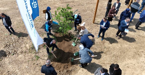 Kocaelinde binlerce fidan toprakla buluştu