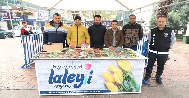 Kocaeli'nin en güzel laleleri satışta